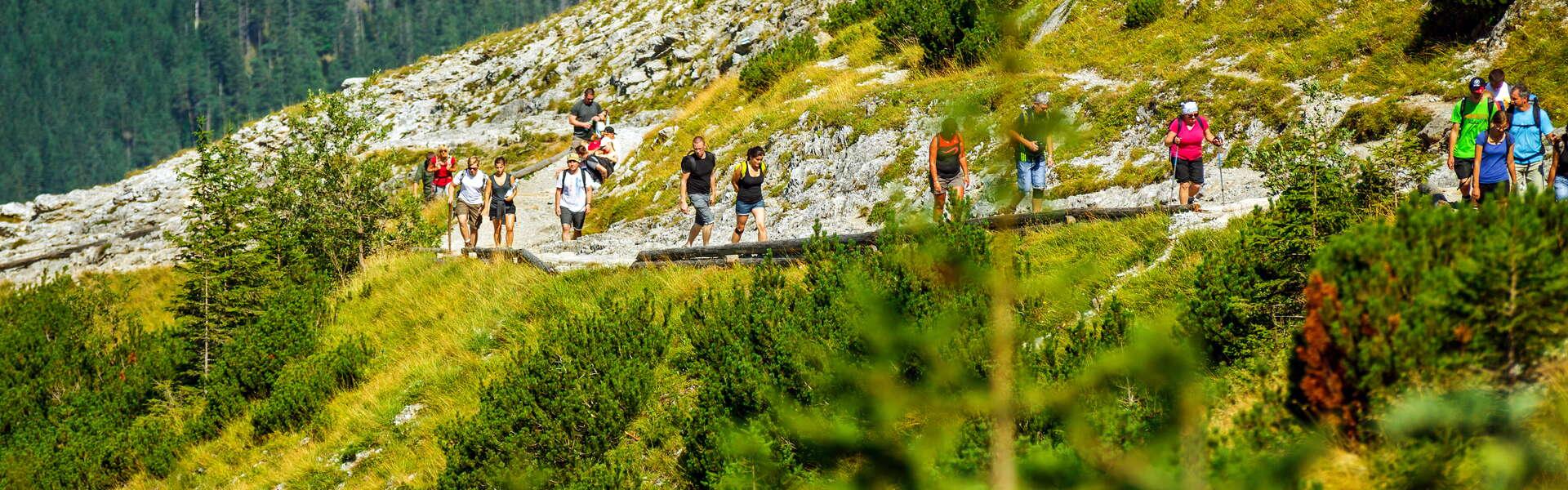 Turyści na szlaku w Tatrach