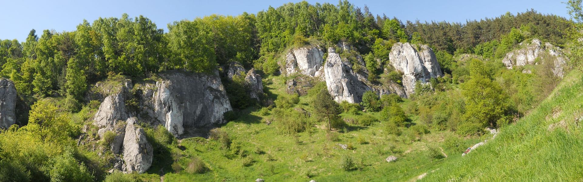 Wapienne białe skały w dolinie.
