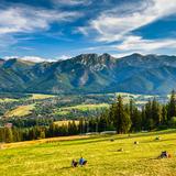 Immagine: Tatrzańskie Wici [Feste dei Monti Tatra]