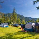 Namioty, samochody i przyczepy campingowe na zielonej łące, wśród drzew, w tle góry.