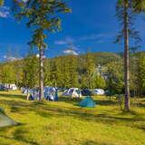 Namioty rozłożone na zielonej trawie, pomiędzy drzewami, w tle góry i skocznia narciarska.