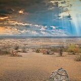 Obrazek: Jura - przez piaski pustyni