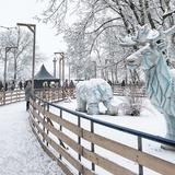 Ice Park Kraków
