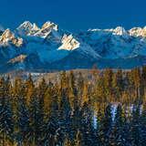 Widok na ośnieżone Tatry z Polany Głodówka.