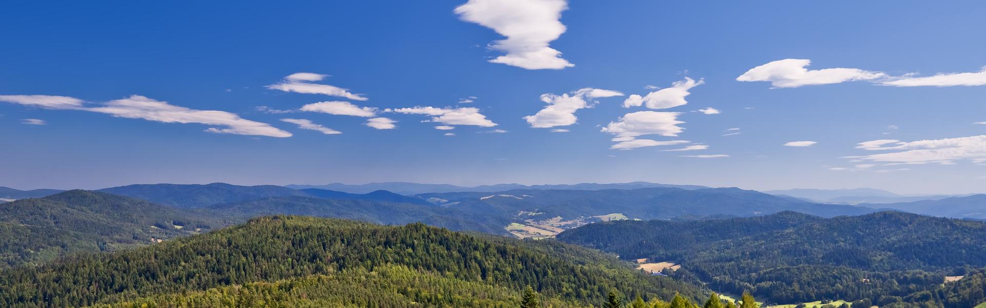 The Beskid Mountains from the viewing tower Słotwiny Arena Krynica-Zdrój