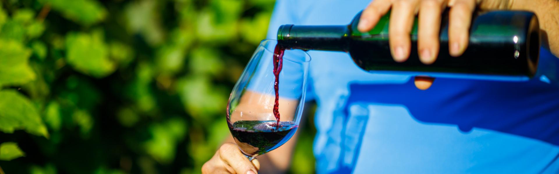 Man pouring wine into a glass against a background of a vine