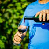 Zdjęcie przedstawia mężczyznę nalewającym czerwone wino do kieliszka. W tle widoczna rozmyte krzewy winorośli.