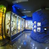 Główna sala z ekspozycjami w Muzeum Przyrodniczym w Ciężkowicach
