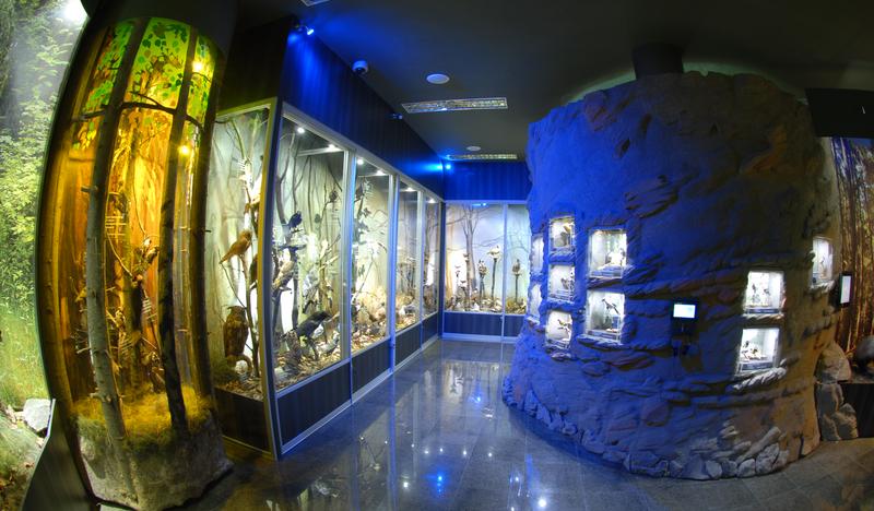 Główna sala z ekspozycjami w Muzeum Przyrodniczym w Ciężkowicach