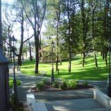 Alejki i zieleń w parku.