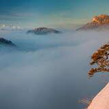 Słynną sosnę na szczycie Sokolicy w Pieninach. Na pierwszym planie drzewo, z uszkodzoną koroną. Na szczycie zalegający śnieg. Na drugim planie mgła nad która wystają wierzchołki gór.