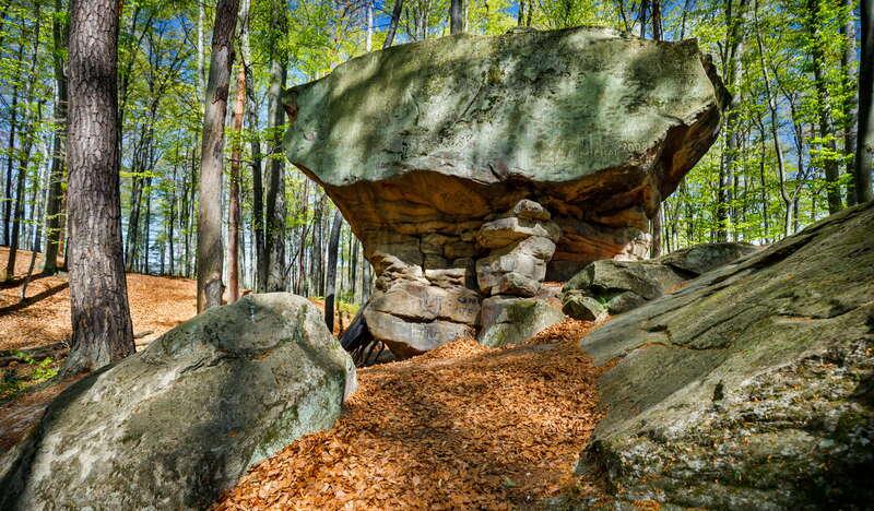 Kamień w formie grzyba sprzed 60 milionów lat w Rezerwacie Przyrody Kamień-Grzyb.