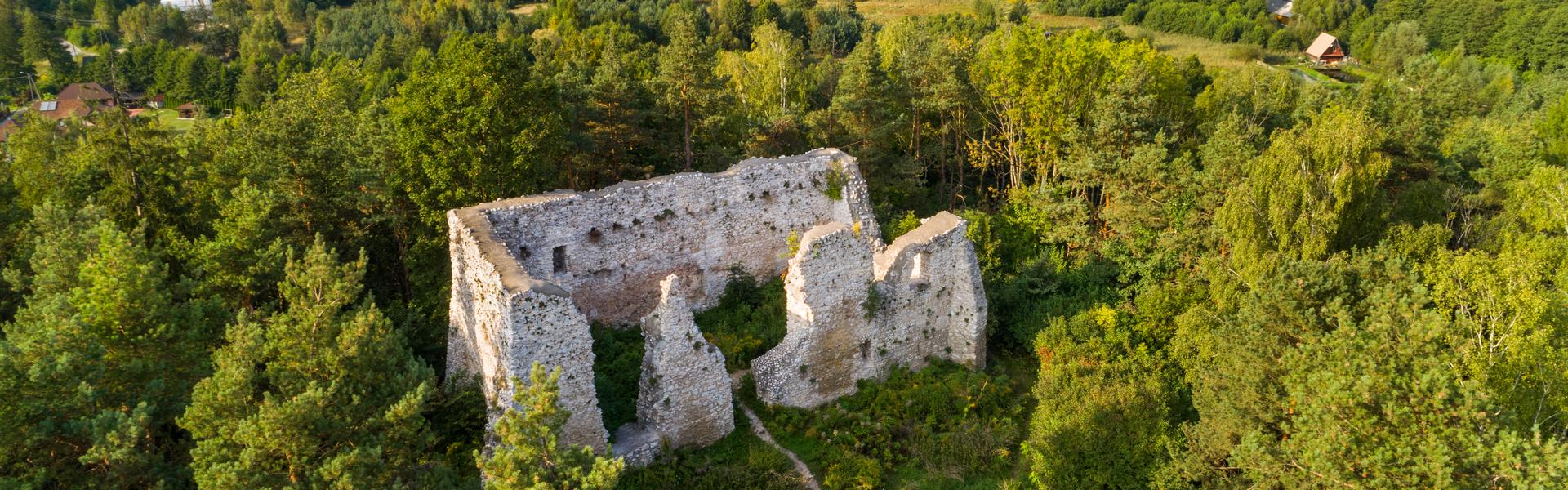 Ruiny średniowiecznego zamku wśród zieleni