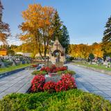 Bild: Soldatenfriedhof Nr. 366 – Quartier auf dem Kommunalfriedhoin Limanowa