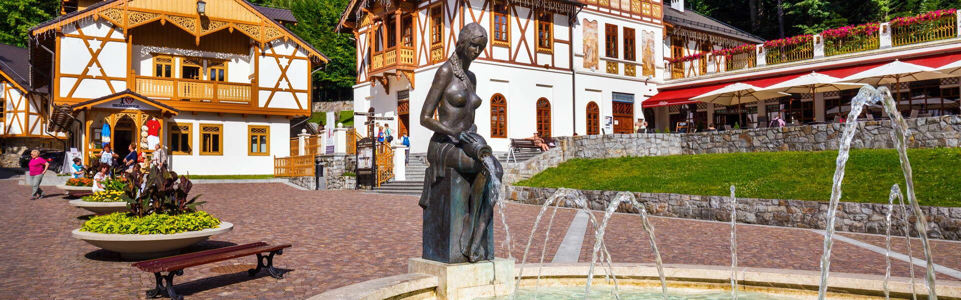 Blick auf einen Brunnen mit einer Frauenfigur. Im Hintergrund historische Häuser aus Holz.
