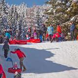 Grupa dorosłych i dzieci na torze saneczkowym na stacji narciarskiej Tylicz ski
