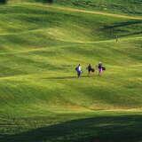 Trójka osób spaceruje po zielonym polu goflowym w Paczółtowicach.