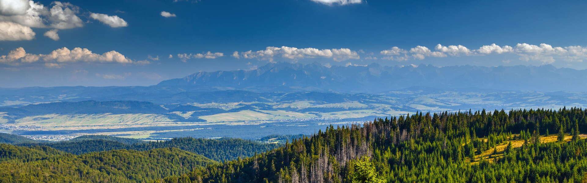 Widok na Gorce, w tle widok na Tatry. Wokół lasy i łąki