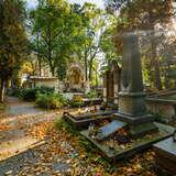 Alejki przysypane jesiennymi liśćmi, pomiędzy różnymi nagrobkami na Cmentarzu Rakowickim w Krakowie. Trochę dalej, na środku znajduje się kapliczka.