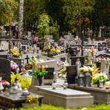 Ogromna ilość ustawionych koło siebie nagrobków na Cmentarzu na Pasterniku. Na wielu z nich stoją kwiaty, a ponad nimi znajdują się drzewa,