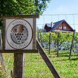 Kwadratowa tabliczka z logo winnicy uroczysko zawieszona na drucianym ogrodzeniu, za ogrodzeniem widoczne rzędy winorośli i budynek mieszkalny
