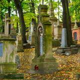 Porośnięty mchem nagrobek na Starym Cmentarzu Podgórskim w Krakowie. Wokół znajdują się pozostałe nagrobki wśród jesiennych liści. W oddali widać drzewa.