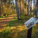 Tabliczka z sową, obok ścieżka spacerowa i zieleń prowadząca przez Uszaty Szlak Turystyczny.
