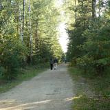 Para ludzi idąca drogą w środku lasu.